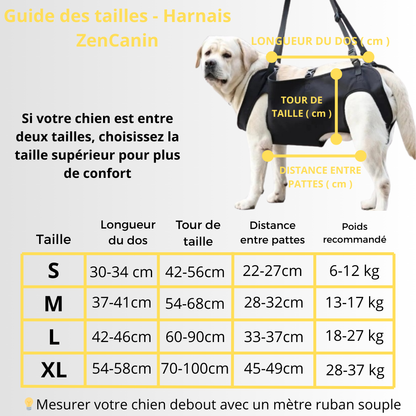 Harnais de soutien pour chien âgé - ZenCanin